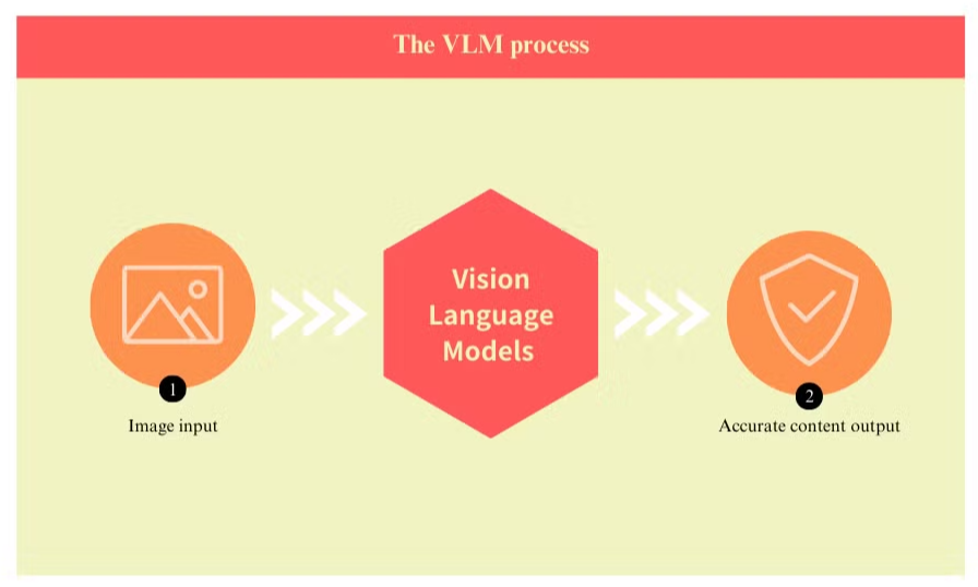The VLM Process